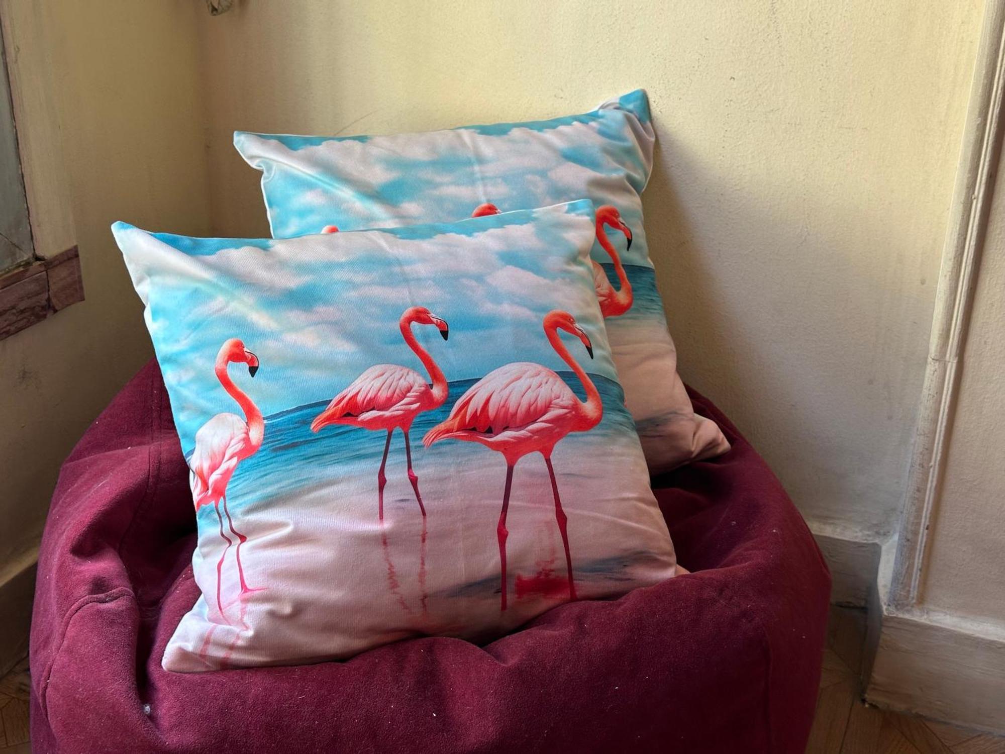 Flamingo 5 Stars Cozy Room - With Ac 카이로 외부 사진